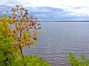IMG_0121.jpg