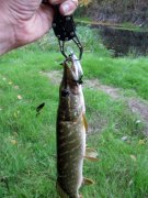 IMG_40511.jpg