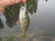 IMG_0778.JPG
