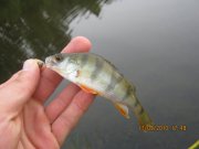 IMG_0779.JPG