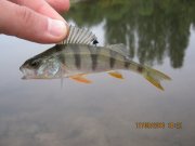 IMG_0782.JPG