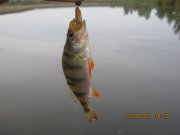 IMG_0785.JPG