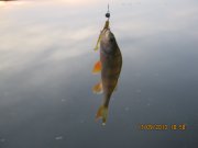 IMG_0786.JPG