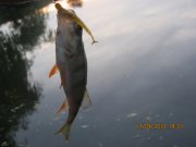 IMG_0787.JPG