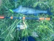 29052013089.jpg