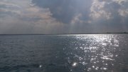 IMG_20130919_072014.jpg