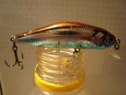 DSC09527.JPG