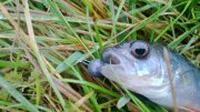 WP_20130920_003.jpg