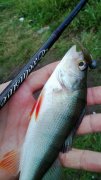 WP_20130920_026.jpg