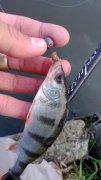 WP_20130920_035.jpg
