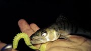 WP_20130920_03920130920202824.jpg