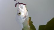 WP_20130921_010.jpg
