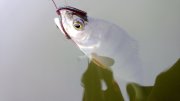 WP_20130921_012.jpg