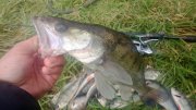 WP_20130921_021.jpg