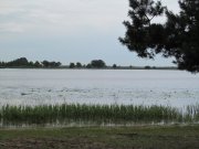 IMG_1073.JPG