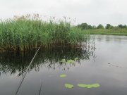 IMG_1084.JPG