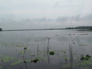 IMG_1086.JPG