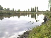DSC08840.JPG