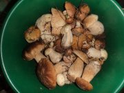DSC00566.JPG
