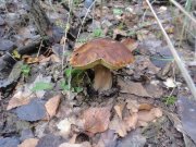 DSC00577.JPG