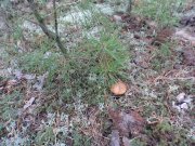 DSC00585.JPG
