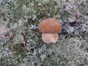DSC00604.JPG