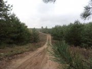 DSC00605.JPG