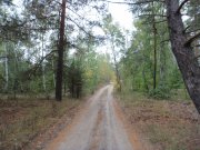 DSC00606.JPG