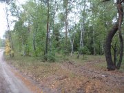 DSC00607.JPG
