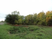 DSC00615.JPG