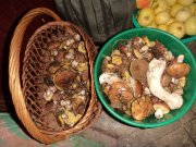 DSC00617.JPG