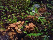 DSC01773.JPG