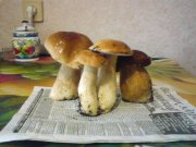 DSC01769.JPG