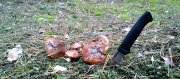 26092013867.jpg