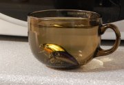 DSCN1252.jpg
