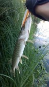 WP_20130926_007.jpg