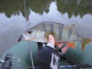 IMG_8847.JPG