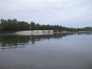 IMG_8848.JPG
