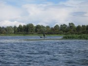 IMG_8866.JPG