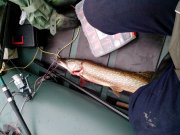 IMG_20130929_141002.jpg