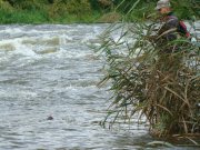 DSC06152.JPG