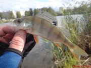 DSC01201.JPG