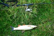IMG_20130929_044629.jpg