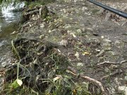2013-09-29-374.jpg