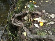2013-09-29-372.jpg