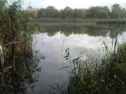 DSC08866.JPG