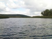 DSC08868.JPG