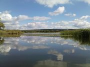 DSC08879.JPG