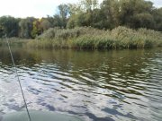 DSC08896.JPG