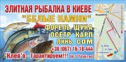 Флаер-.jpg